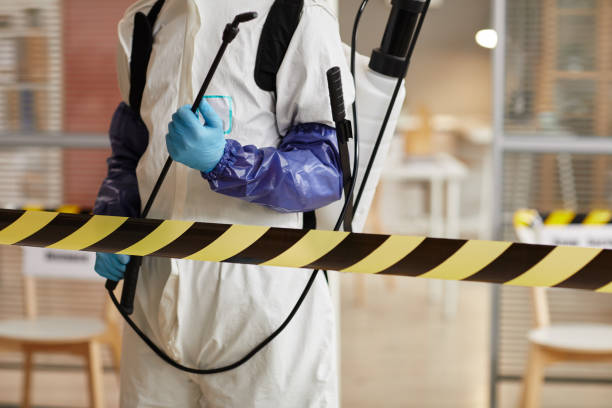 Professional Sewage Cleanup technician working in Bailey Island, ME
